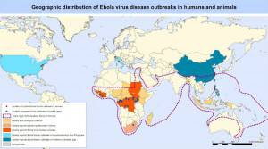 ebola distribuzione