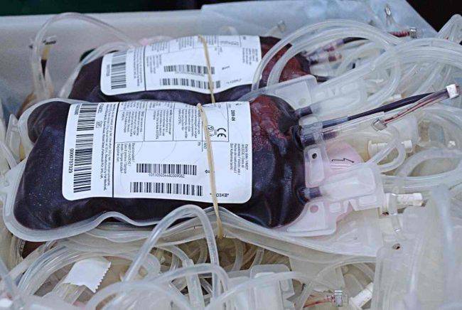 Testimone Geova trasfusione