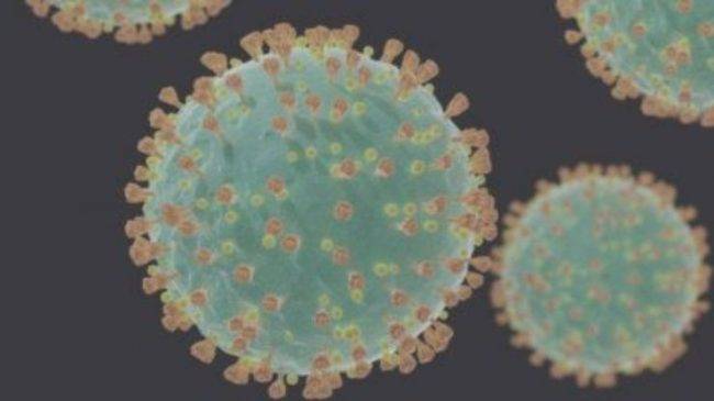 Coronavirus congiunti cosa significa