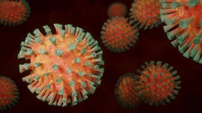 Coronavirus Zaia contagi