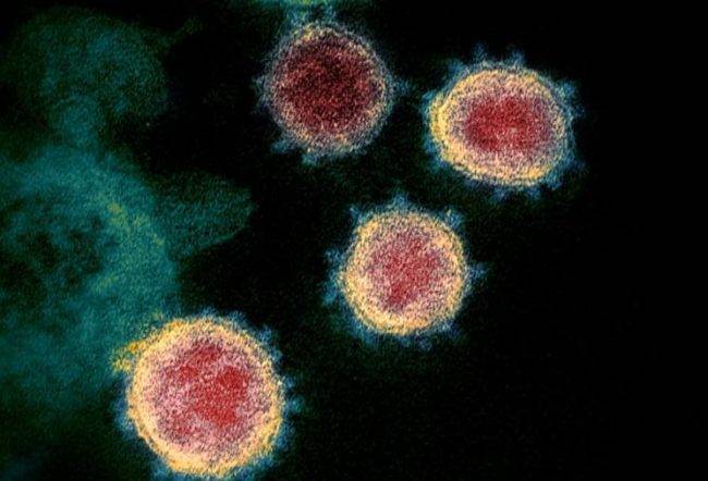 coronavirus annuncio virologo