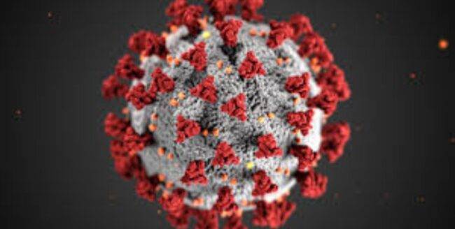 coronavirus pechino focolaio