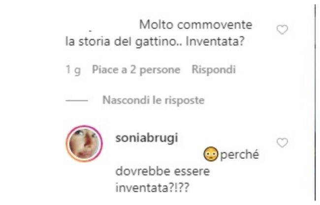 Sonia Bruganelli commenti