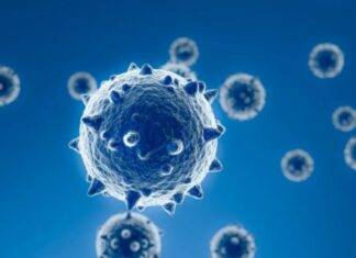 Coronavirus, trovata una molecola che funge da inibitore naturale