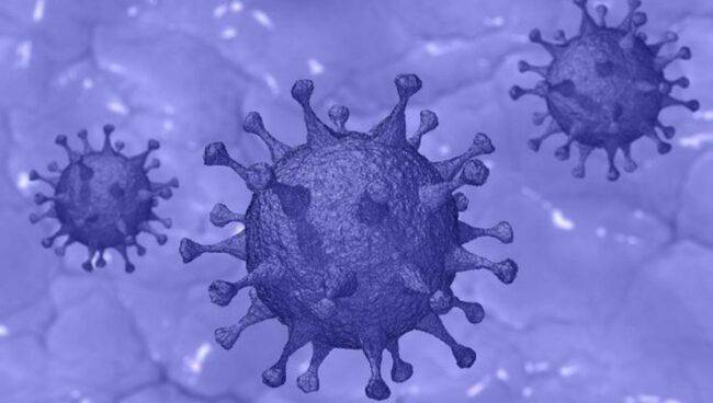 Coronavirus Dpcm 9 Novembre