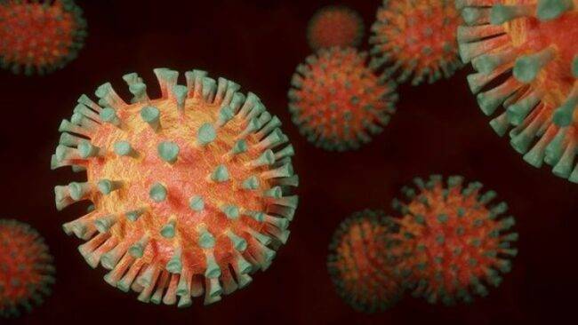 coronavirus locatelli