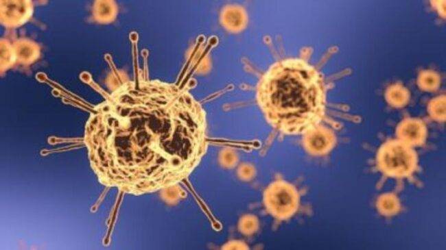 Coronavirus, scoperta una misteriosa sindrome infiammatoria: quali sono i sintomi