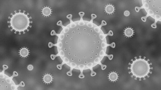 Coronavirus nuove zone rosse