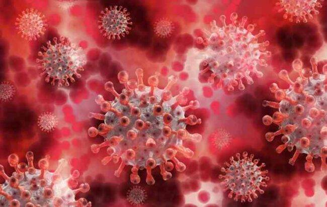 Coronavirus, buone notizie in arrivo: "A Natale si potrà aprire"