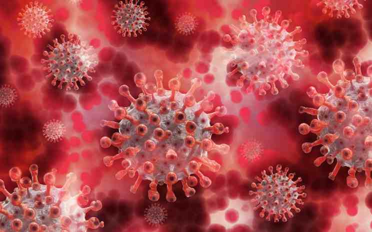 coronavirus variante nuova