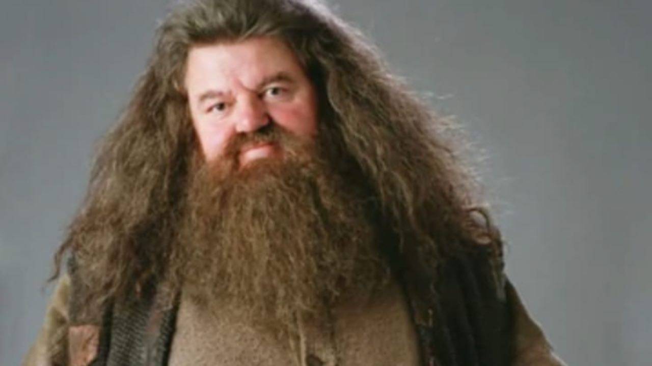 Hagrid Harry Potter oggi