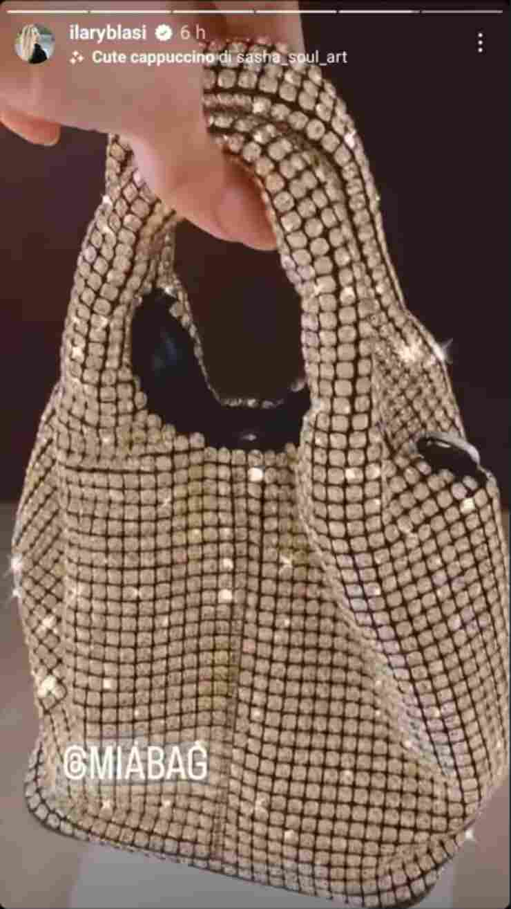 Ilary Blasi jewel handbag