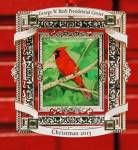 uccello cardinale dipinto con cornice ornamentale natalizia