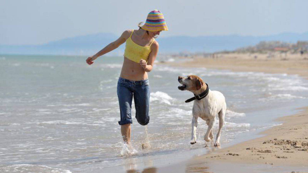 Spiagge Per Cani In Italia Lelenco Completo Regione Per